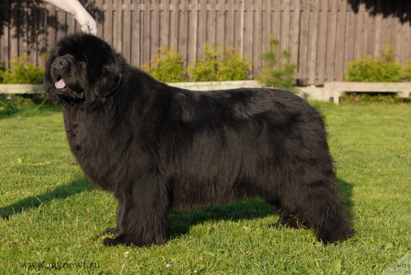 Фотография № 166821