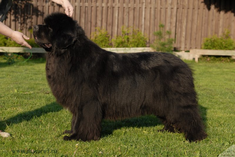 Фотография № 166822