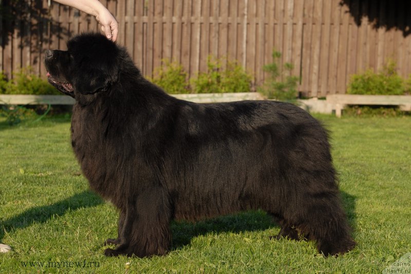 Фотография № 166823