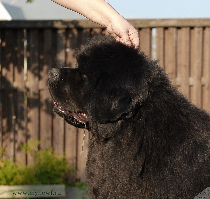 Фотография № 166824