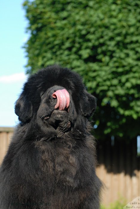 Фотография № 166826