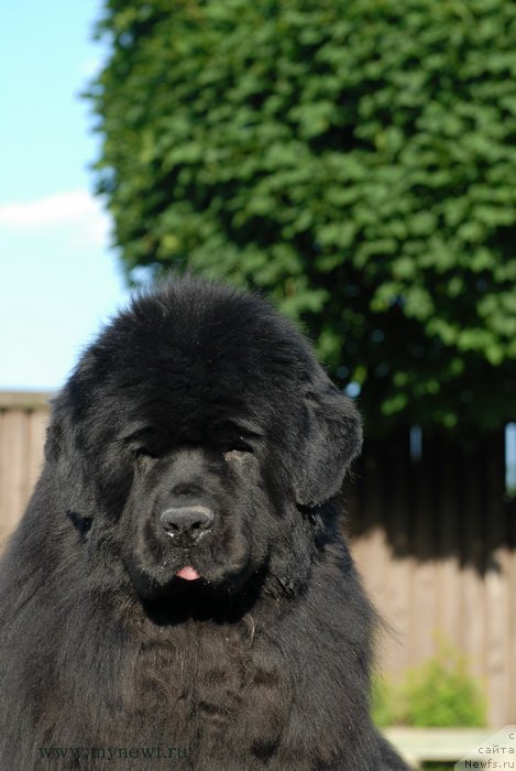 Фотография № 166827