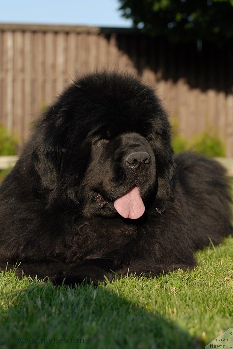 Фотография № 166829