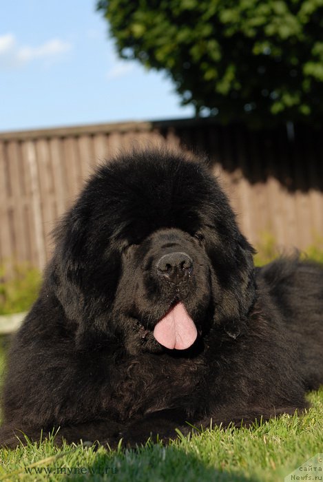 Фотография № 166830