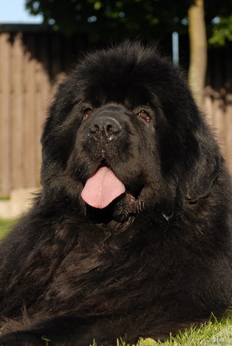 Фотография № 166831