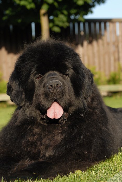 Фотография № 166832