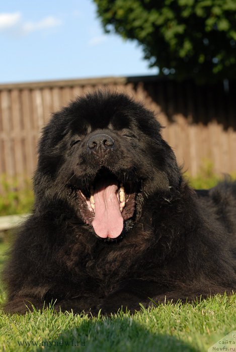 Фотография № 166833