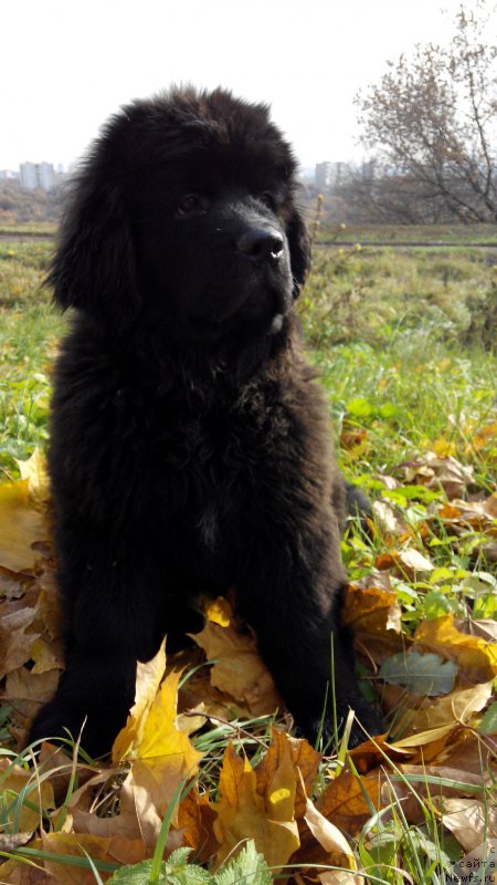 Фотография № 166834