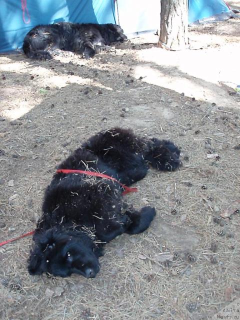 Фотография № 16686