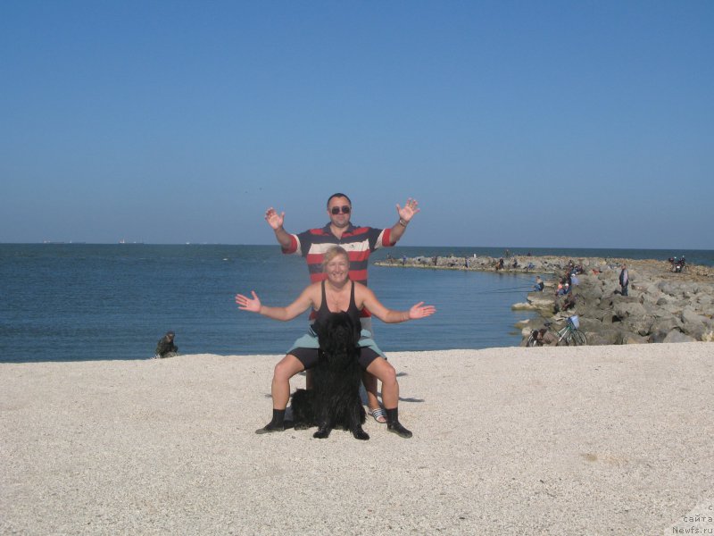 Фото: ньюфаундленд Beguschaya po Volnam Vizantiya de Lyuks (Бегущая по Волнам Византия де Люкс)