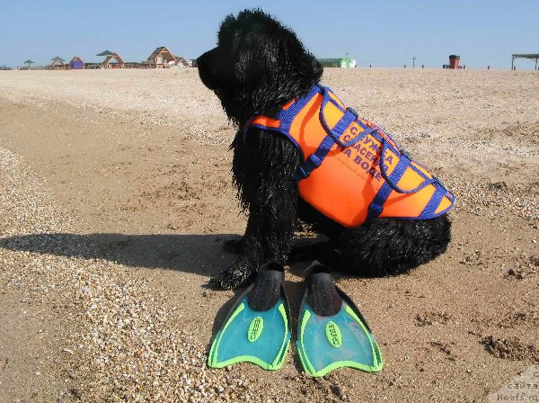 Фотография № 166869