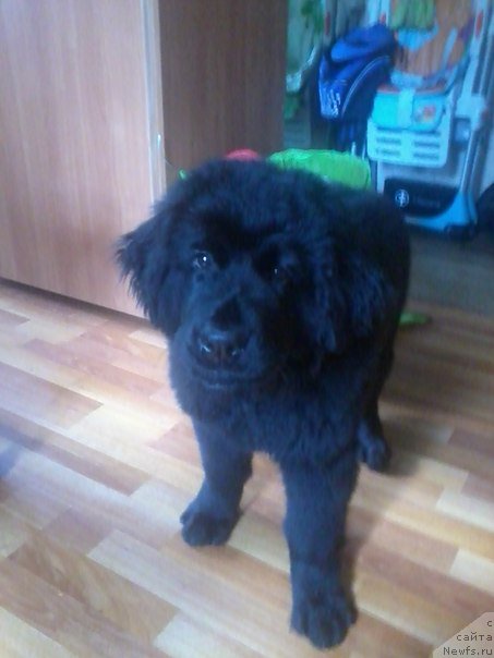 Фотография № 166898