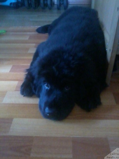 Фотография № 166899