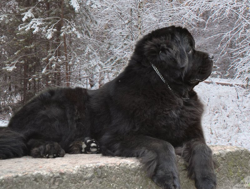 Фотография № 166904