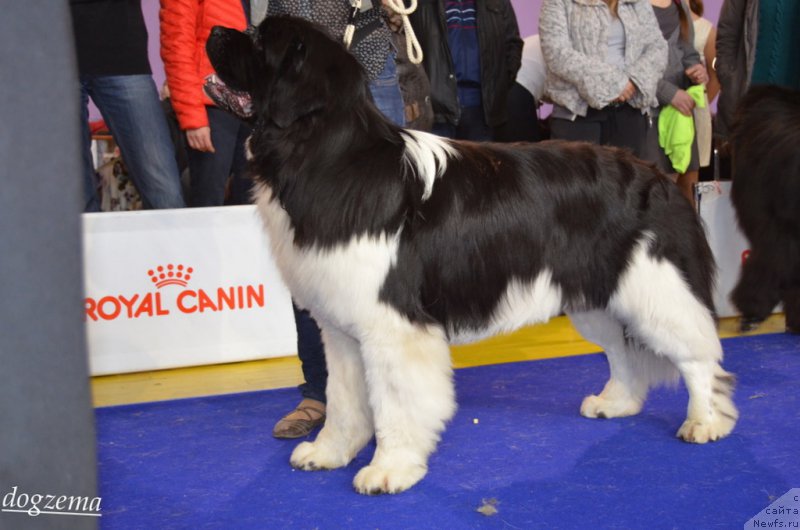 Фотография № 166917