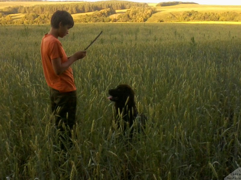 Фотография № 166952