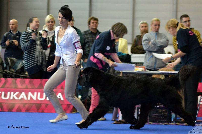 Фотография № 166956