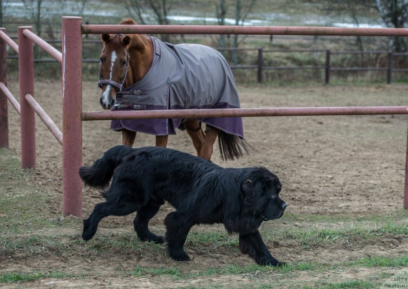 Фотография № 166973