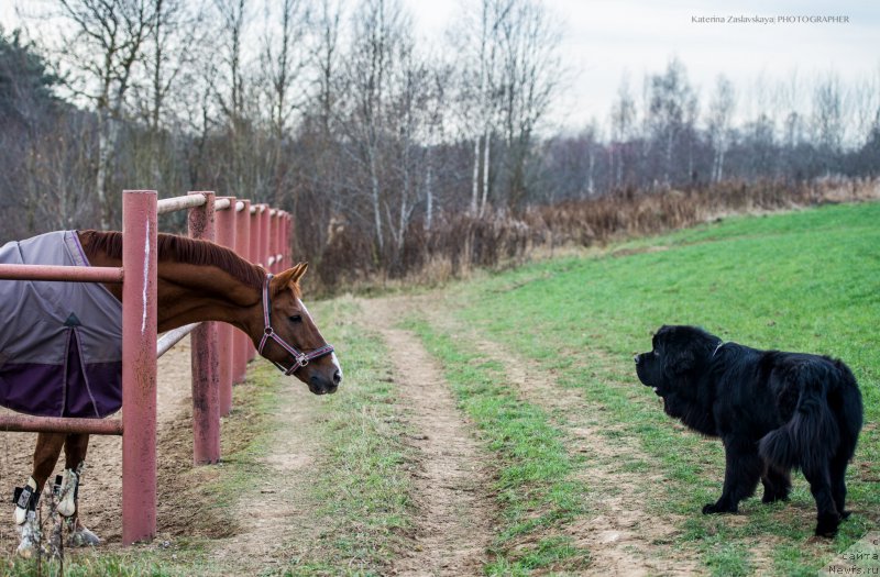 Фотография № 166975