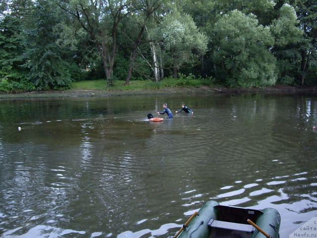 Фотография № 16699