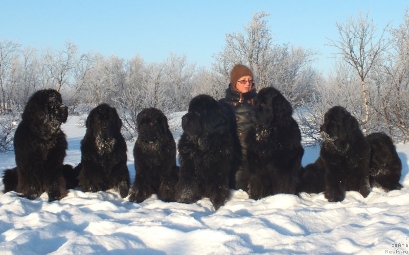 Фото: Elena Kuz'mina (Елена Кузьмина)