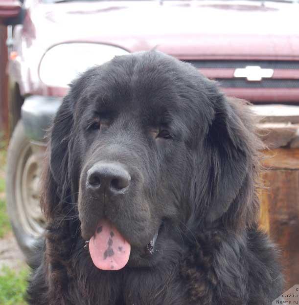 Фотография № 16701