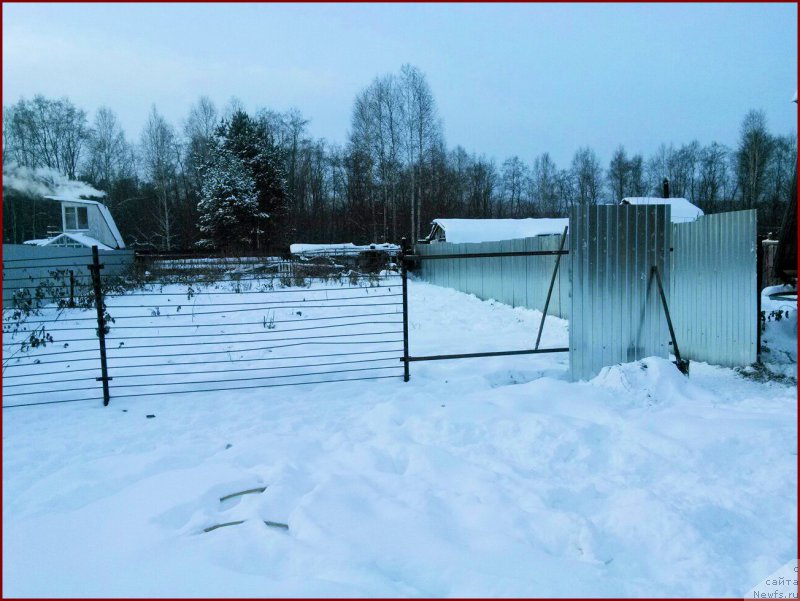 Фотография № 167015