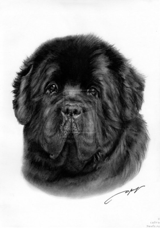 Фотография № 167019