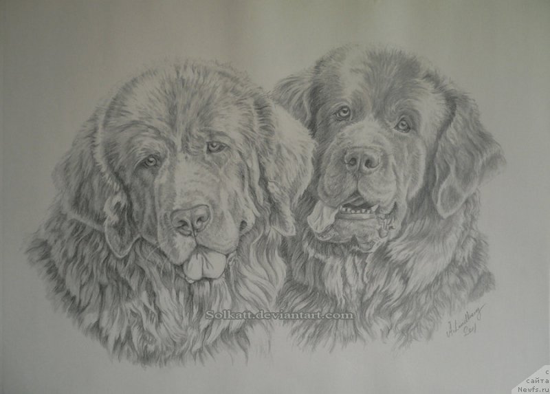 Фотография № 167020