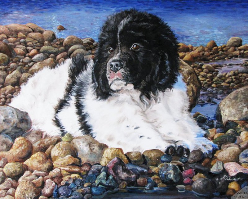 Фотография № 167026