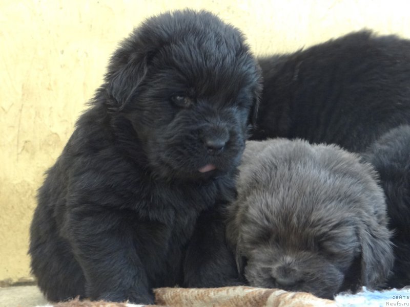 Фотография № 167047