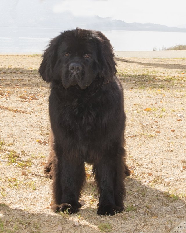 Фотография № 167090