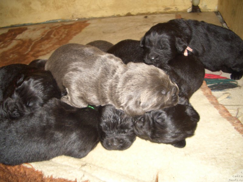 Фотография № 167092