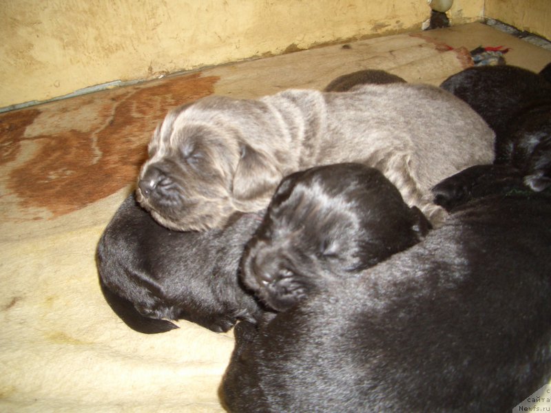 Фотография № 167093