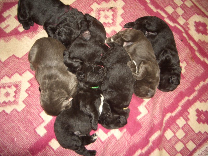 Фотография № 167094