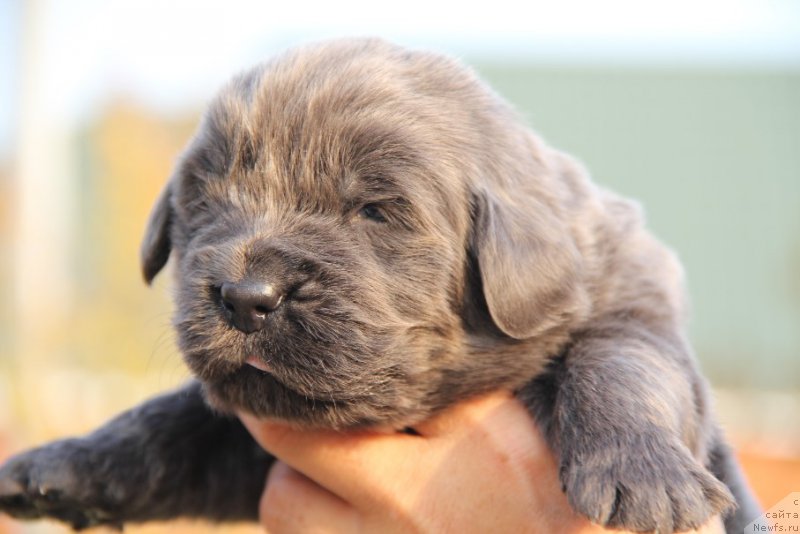 Фотография № 167096