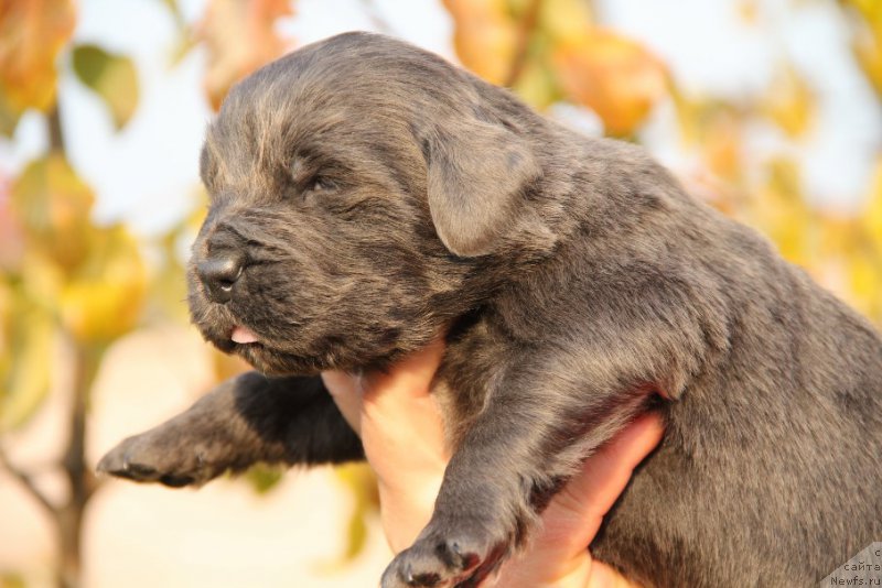 Фотография № 167097