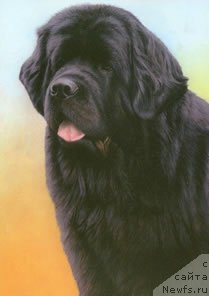 Фотография № 167105