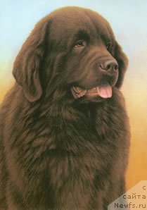 Фотография № 167106