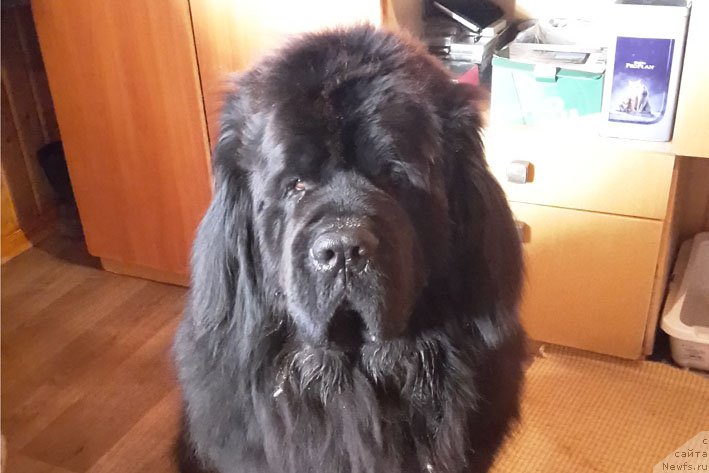 Фотография № 167114