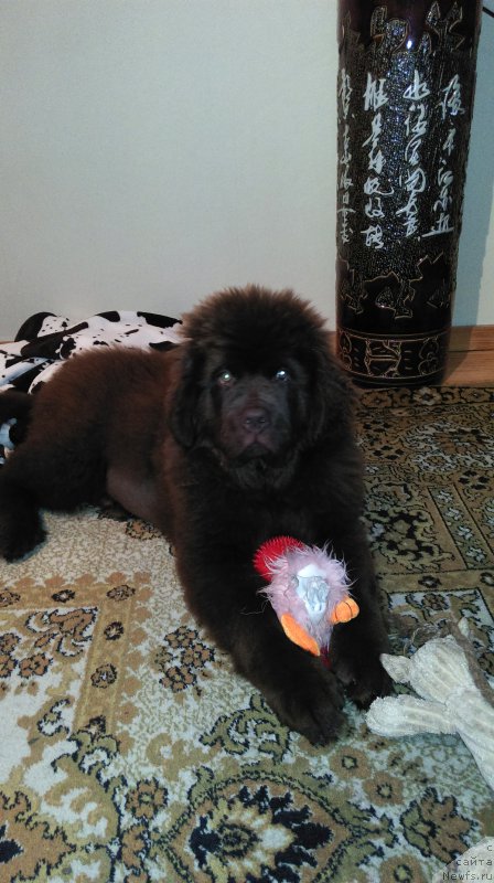 Фотография № 167117