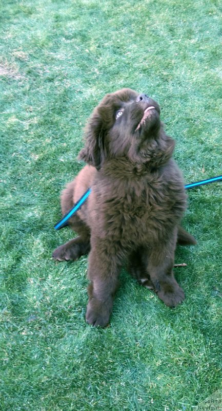 Фотография № 167118