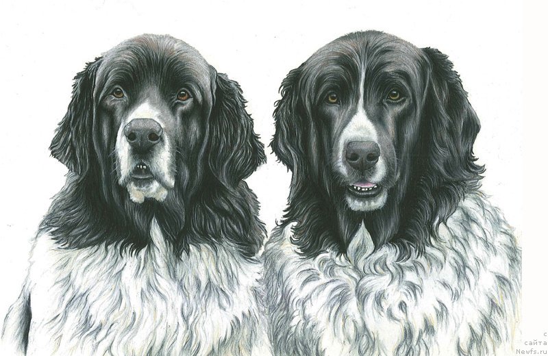 Фотография № 167125