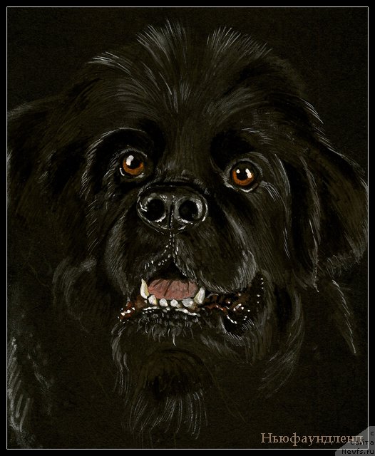 Фотография № 167126