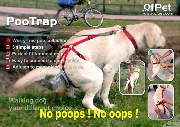 Фото: Sergey Jukov (Сергей Жуков)