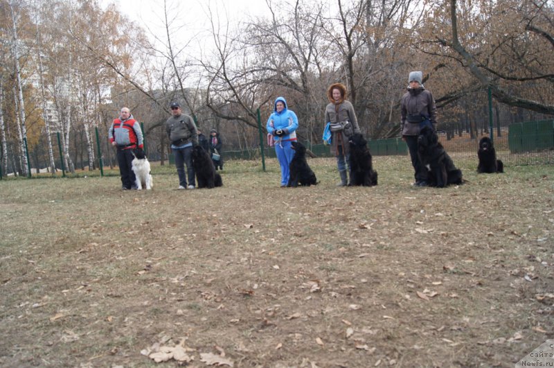 Фотография № 167134