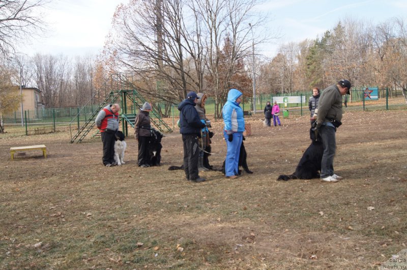 Фотография № 167135