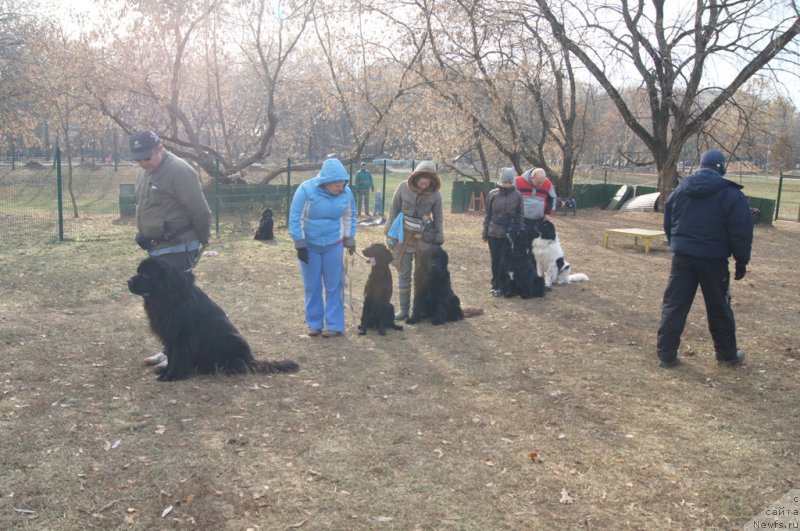 Фотография № 167136