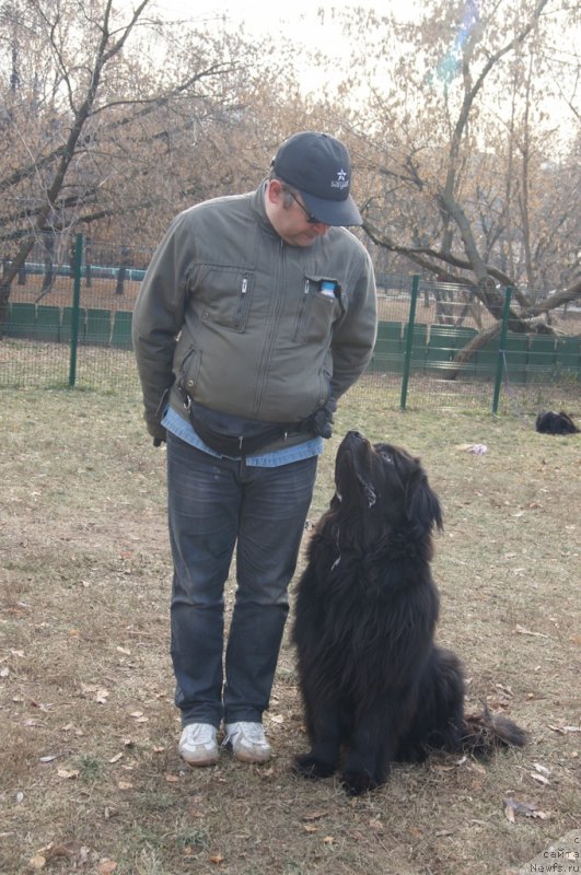 Фотография № 167137