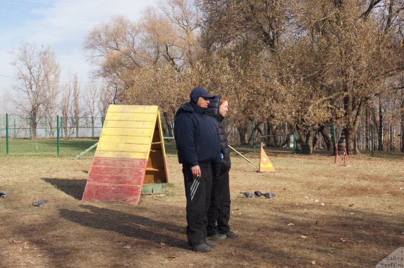 Фотография № 167139